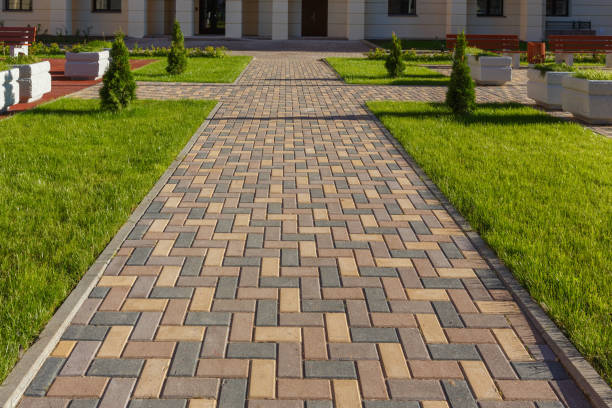 Best Professional Driveway Pavers  in Mount Pleasant, TX